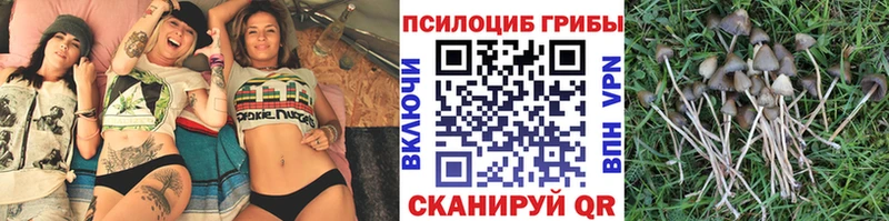 Галлюциногенные грибы Magic Shrooms  блэк спрут как войти  Чистополь 