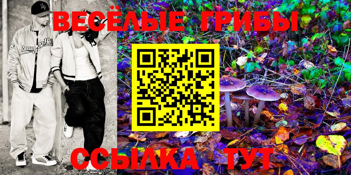 ТГК Чистополь