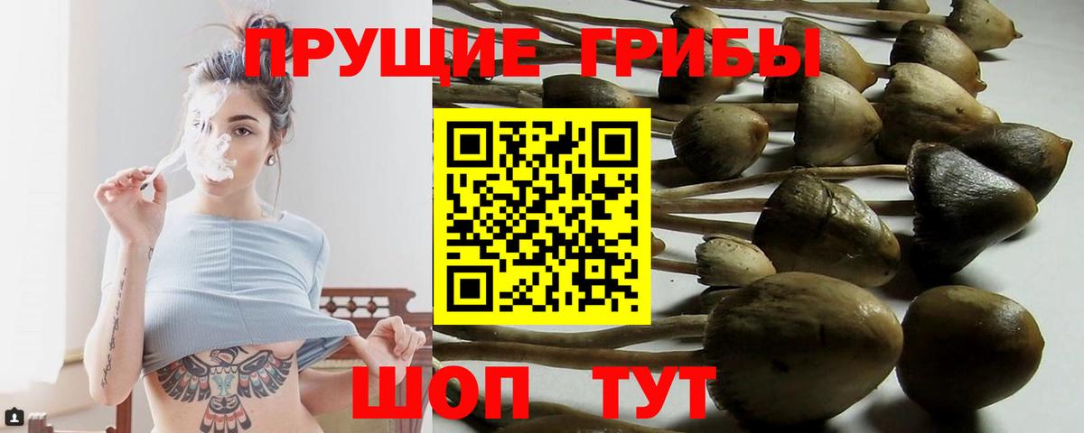Галлюциногенные грибы ЛСД  Вход с VPN  Чистополь 